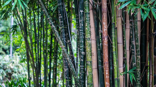 yala brand bamboo clothing