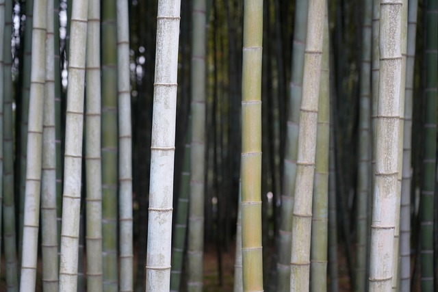 bamboo clothing for men uk